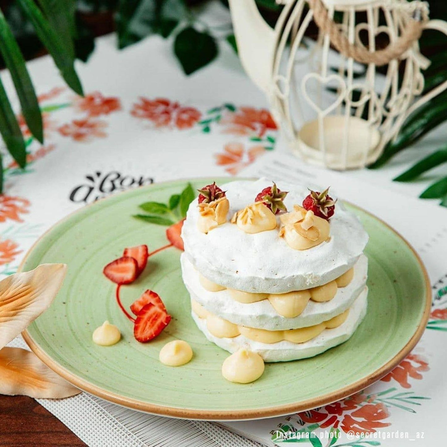 Turgla Vitrified Therapy dia.10" Round Green Vitrified Plate - Case Pack: 12