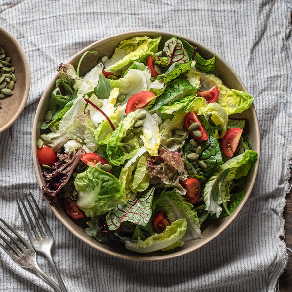 Terra Pott Bowl