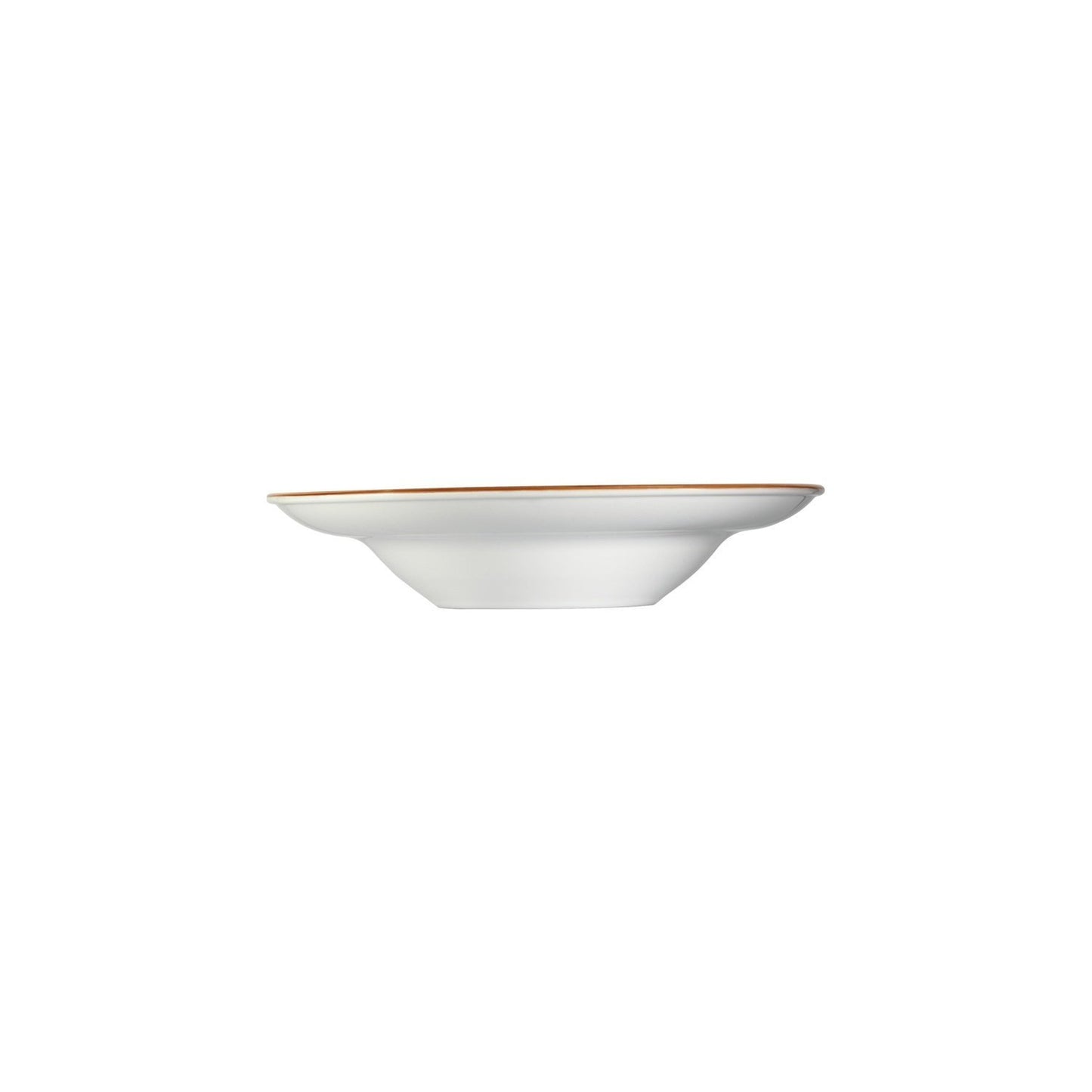 Turgla Vitrified Aqua dia.10.75" h:2.25" 16 oz. Round Blue Vitrified Bowl - Case Pack: 6